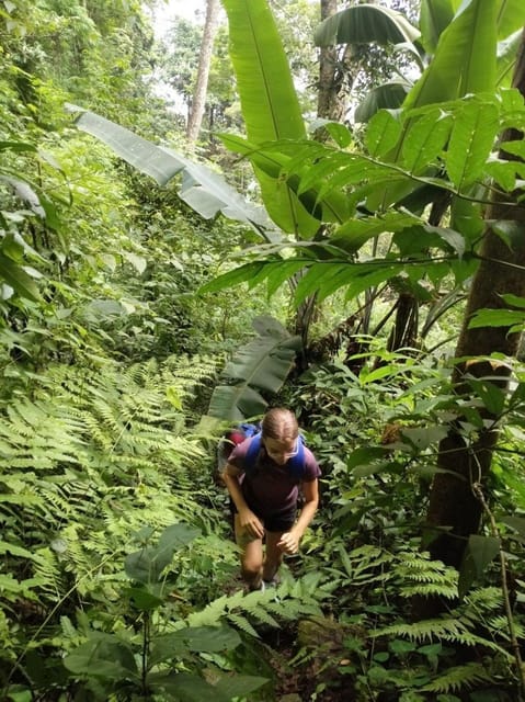 Adventure Hike in Doi Suthep-Pui National Park