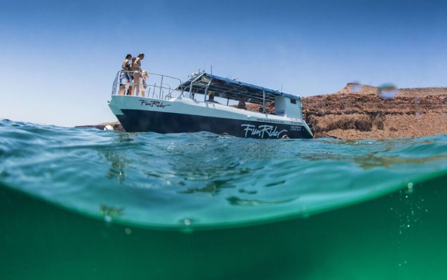 Adventure on Balandra Beach: Sea Lions & Snorkeling Tour