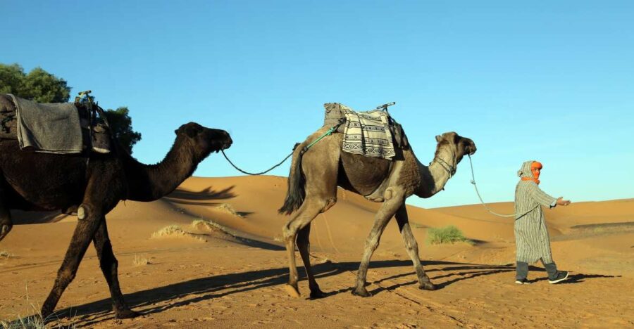 Agadir: 4×4 Jeep Desert Safari With Lunch Tajin & Couscous - Activity Overview