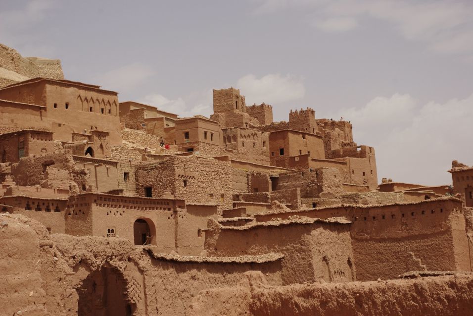 25 Best Safari Tours In Agadir