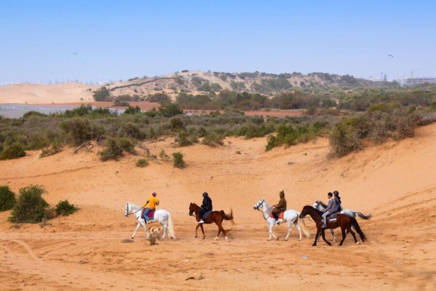 Agadir: Beach and Ranch Horse Riding Tour - Tour Overview