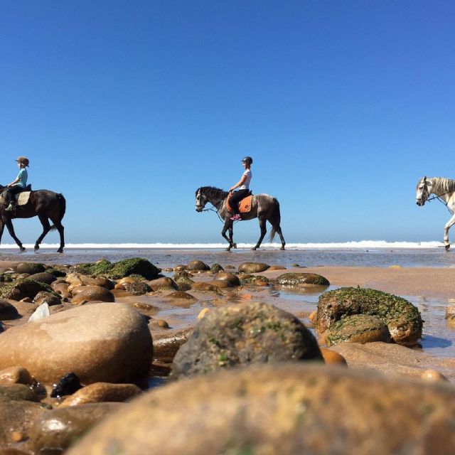 Agadir: Beach Sunset Horse Riding Tour With Transfer
