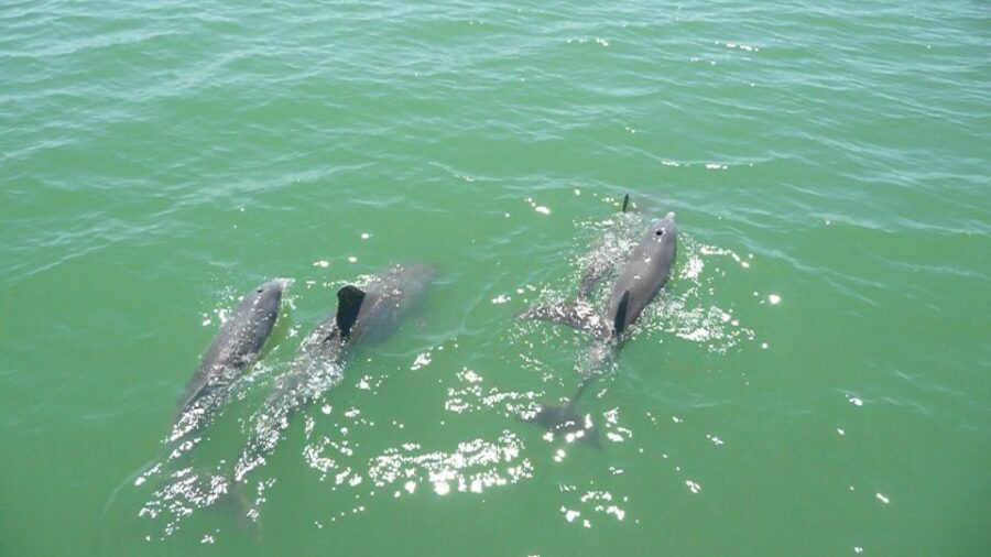 Agadir Boat Trip Fishing & Swimming Adventure