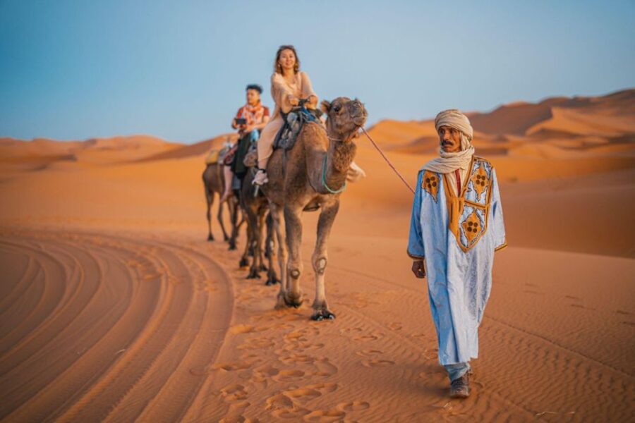 Agadir: Camel Ride and Flamingo Trek With Mint Tea - Activity Overview