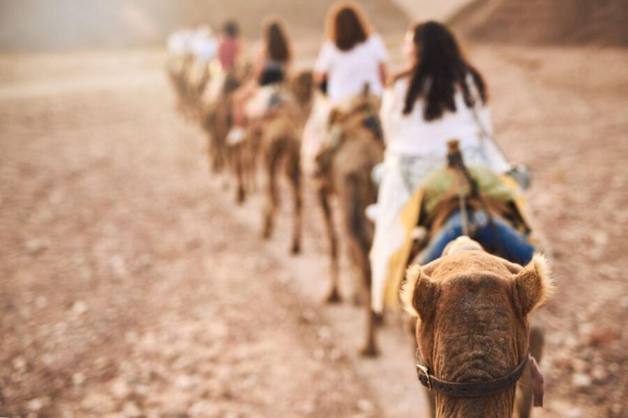 Agadir: Camel Ride With Tea & BBQ Dinner Option - Activity Overview