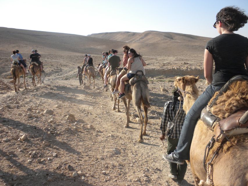 Agadir: Camel Ride With Tea