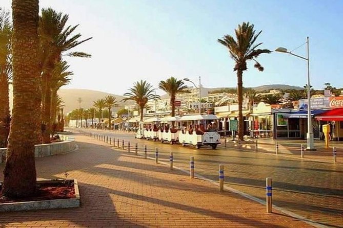 Agadir City Tour and Madina Coco Polizzi