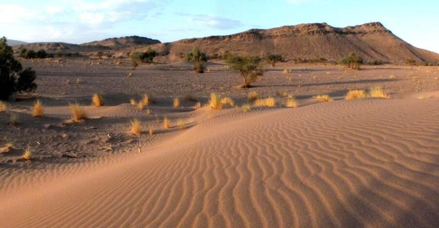 Agadir: Desert Safari Jeep Tour With Lunch & Hotel Transfers
