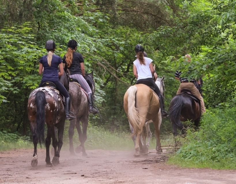 Agadir: Horse Ride in Flamingo Souss River