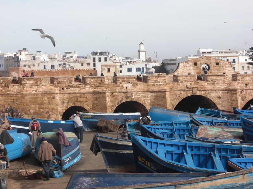 Agadir or Taghazout Essaouira Old City Day Trip With Guide