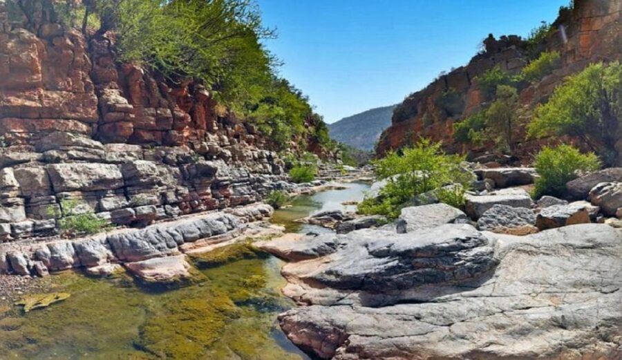 Agadir or Taghazout: Paradise Valley With Lunch & Transfers