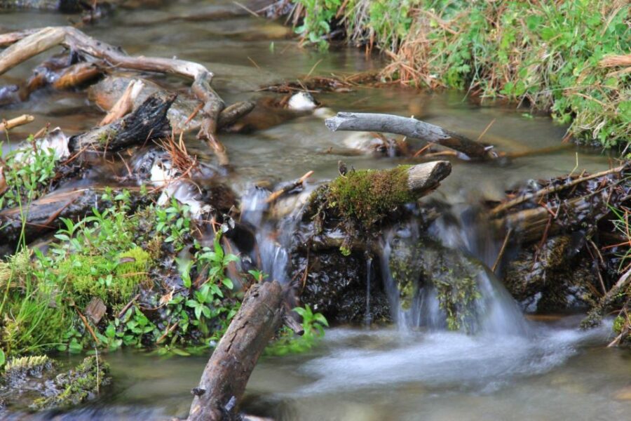 Agadir: Paradise Valley Tour & Atlas Mountain With Lunch