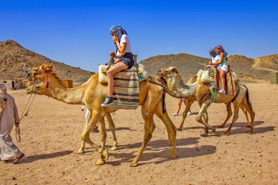 11 Best BBQ Experiences In Agadir