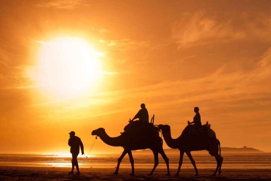 Agadir: Sunset Camel Ride With Dinner