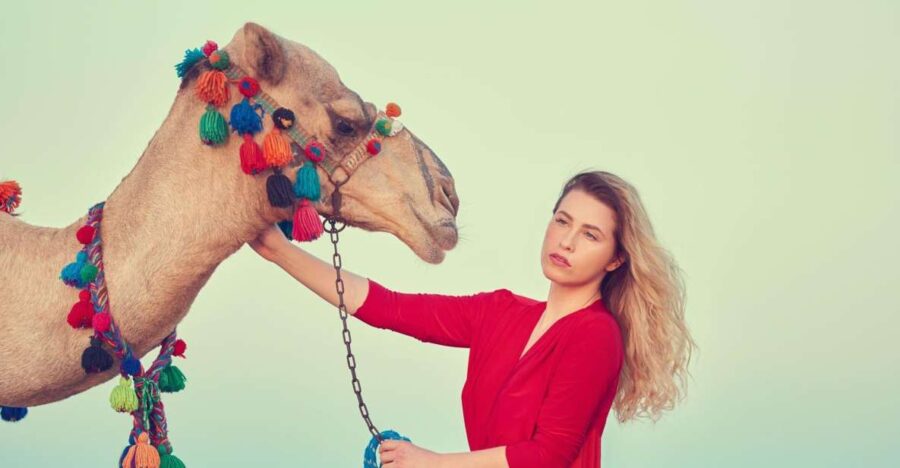 Agadir/Taghazout: Camel Riding and Flamingo River Tour