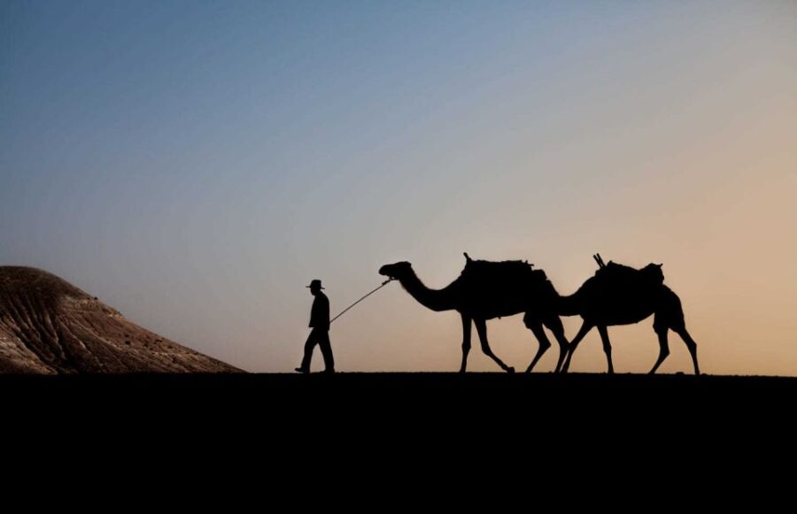 Agafay and Atlas: Quad and Camel Experience - Experience Overview