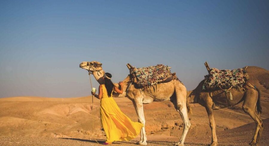 Agafay Desert: Quad Bike or Camel Ride and Dinner Show