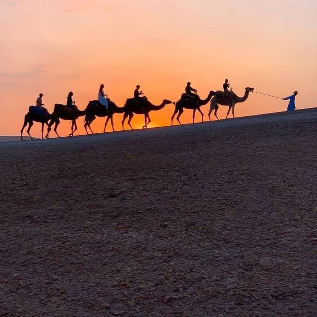 Agafay Desert Sunset Camel Ride With Dinner in Camp