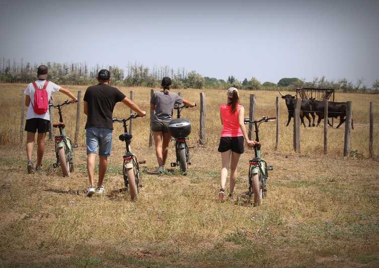 Aigues Mortes: Bike Safari – Ebike Tour in Camargue