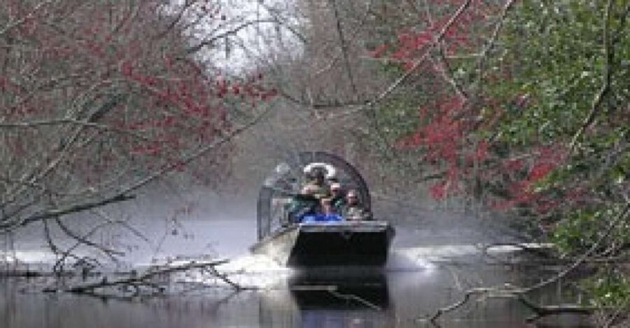 Airboat Tour of Louisiana Swamps