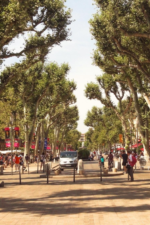Aix-En-Provence: Sights & Highlights Walking Tour - Booking Information