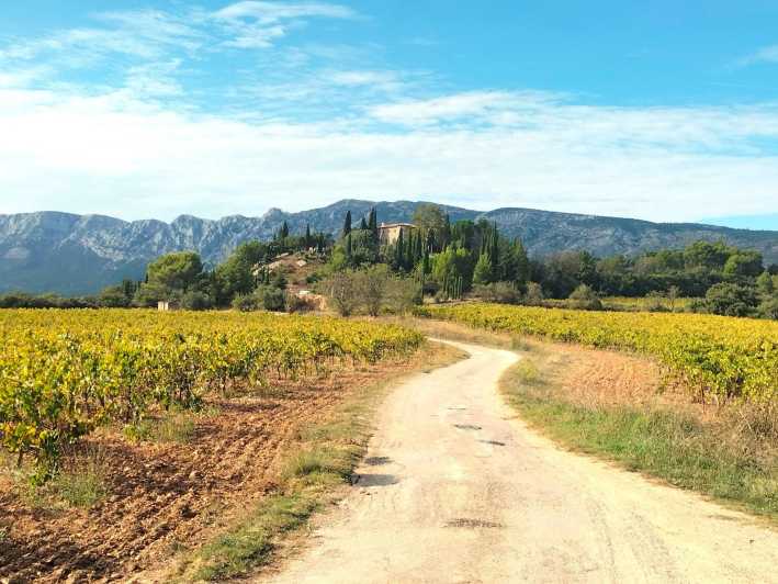 Aix & Marseille: Wine Tour & Food Tasting in the Countryside