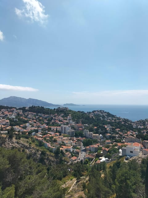 Aix or Marseille: Marseille & Wine Tour in Sainte Victoire
