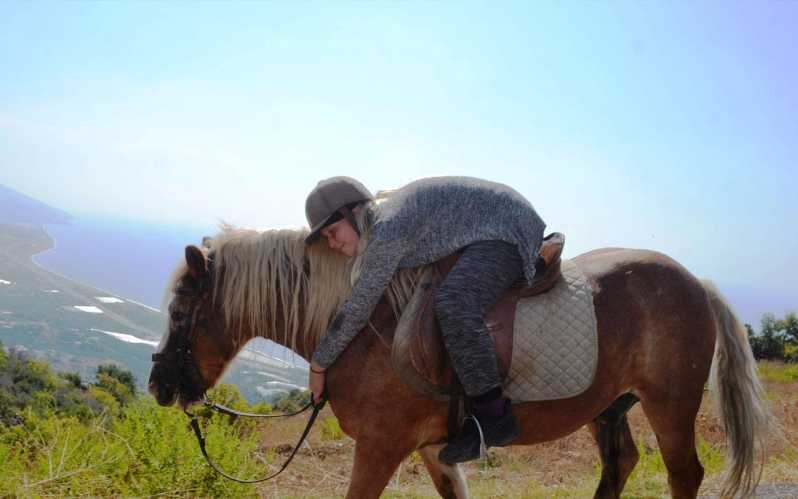 Alanya: Private Horse Safari - Activity Overview