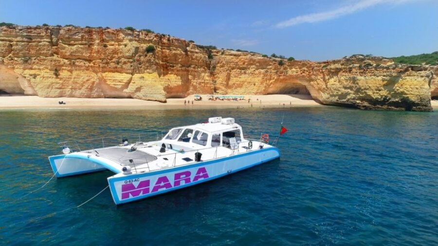 Albufeira: Catamaran Cruise With BBQ & Open Bar on the Beach - Activity Overview