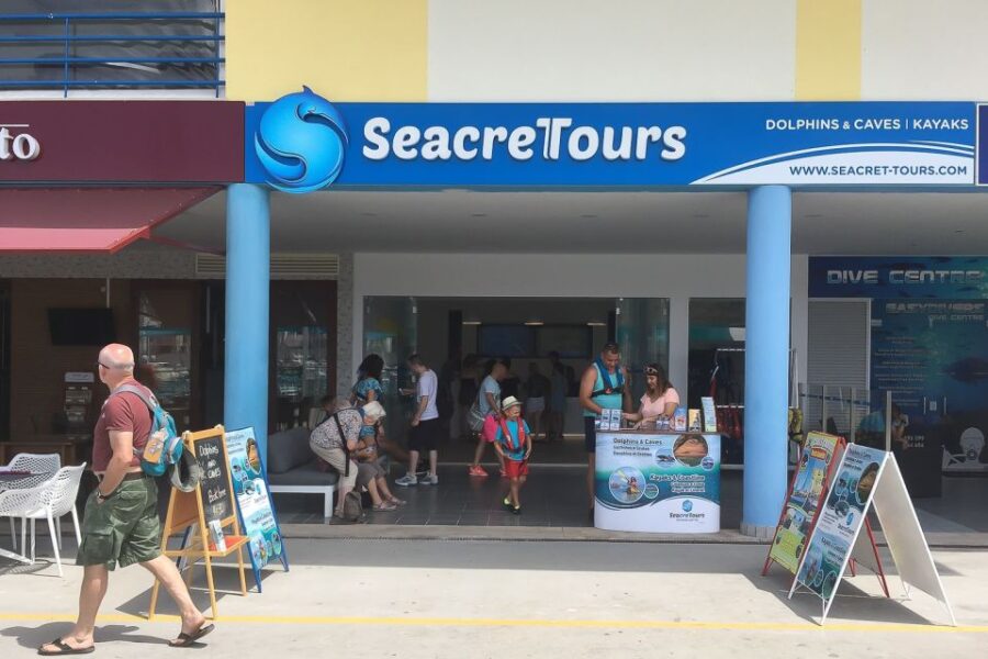 Albufeira: Dolphin Watching and Benagil Cave Boat Cruise