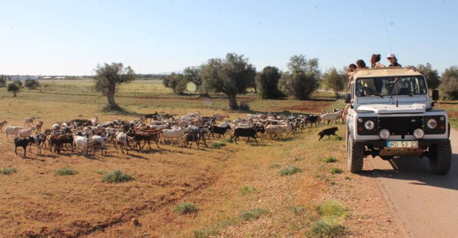Albufeira: Jeep Safari Half-Day Countryside Tour - Tour Overview