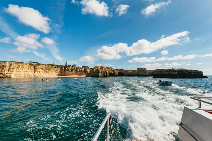 Albufeira: Sightseeing Cruise With Beach BBQ and Open Bar - Activity Overview