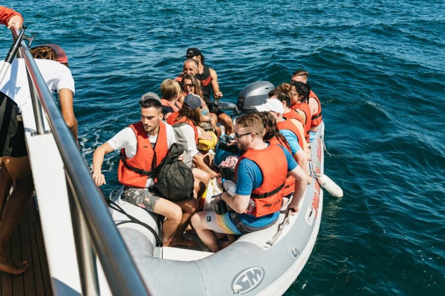 Albufeira: Sightseeing Cruise With Beach BBQ and Open Bar - Activity Overview