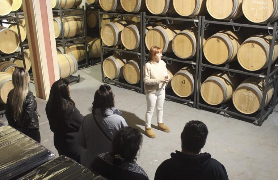 Alcudia Winecellar Tour: Vineyard Visit, Tasting of 5 Wines