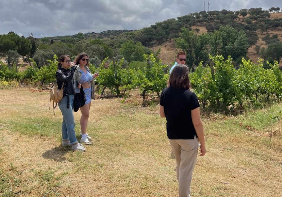Alentejo Wine From Évora