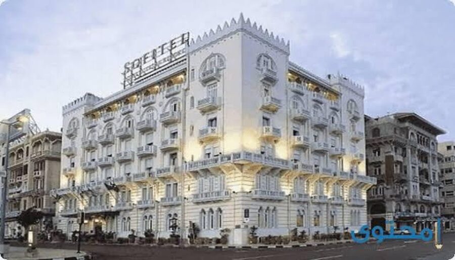 2 Best Shore Excursions In Alexandria