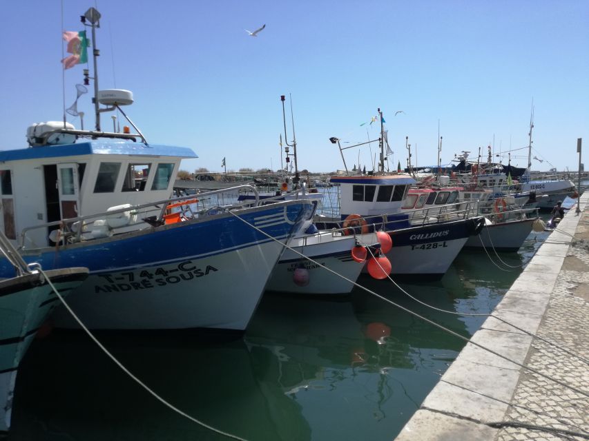 Algarve: Off-the-Beaten-Path Day Trip - Trip Overview and Pricing