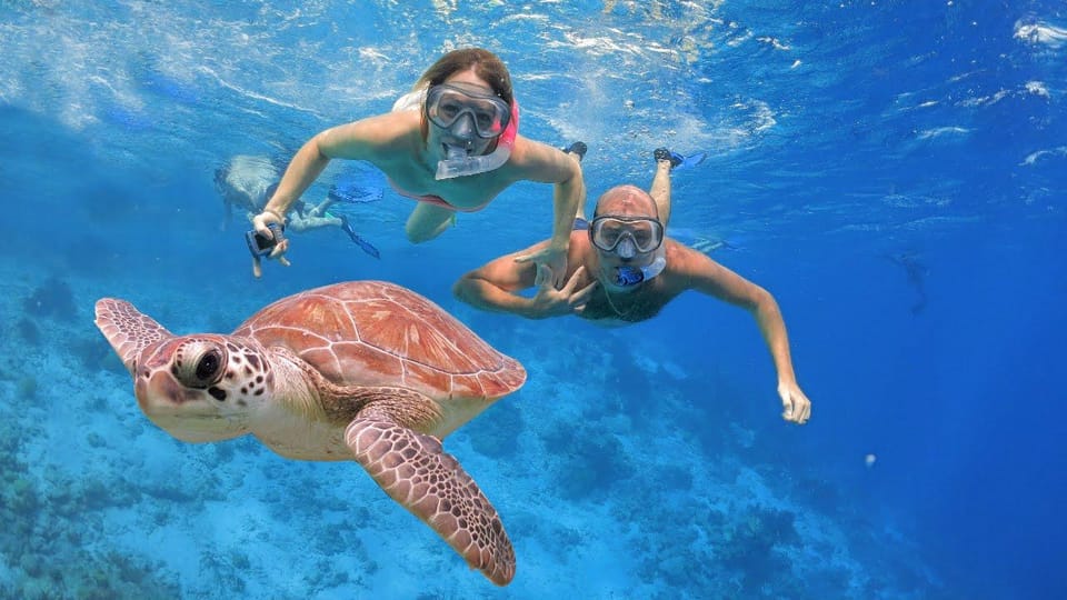 All Include Snorkeling at Menjangan Island