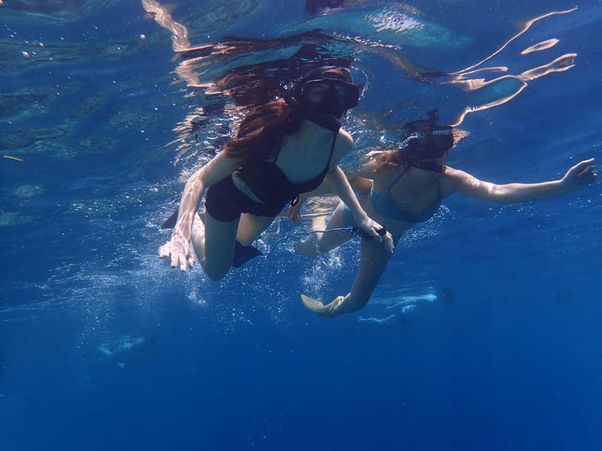 All Include Snorkeling Menjangan Island