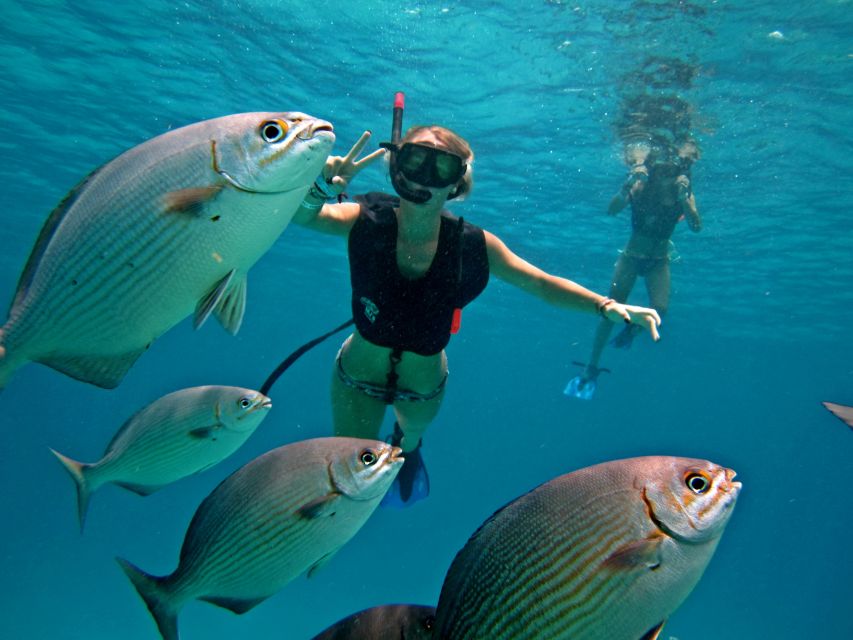 All Inclusive Beach Adventure With Snorkeling at Chankanaab