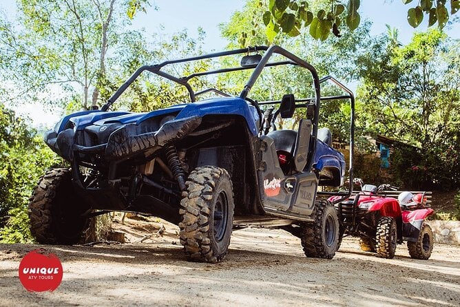 All Terrain 4X4 Viking Tour in Puerto Vallarta - Overview of the Tour