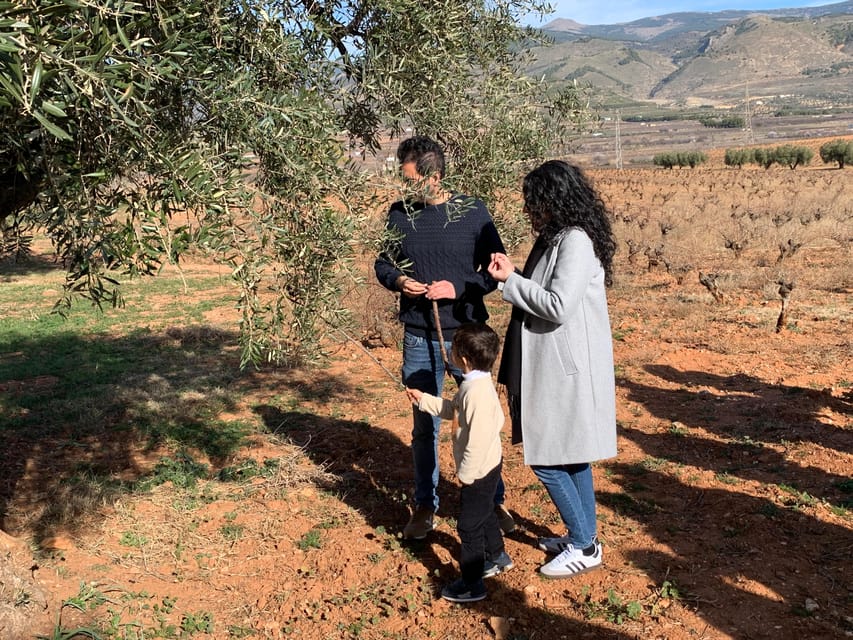Almeria: Wine Tour and Aperitif From La Alpujarra in Laujar