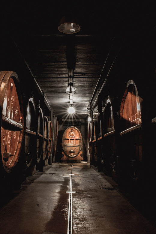 Alsace: Wine Tasting and Gourmet Christmas Lunch