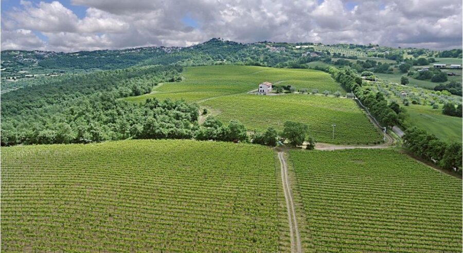 9 Best Tours In Viterbo
