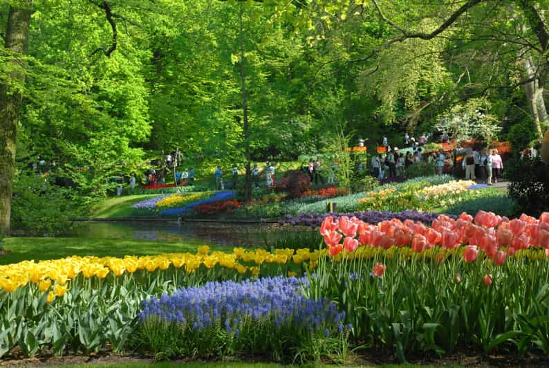 Amsterdam: Half-Day Keukenhof Guided Tour With Entrance