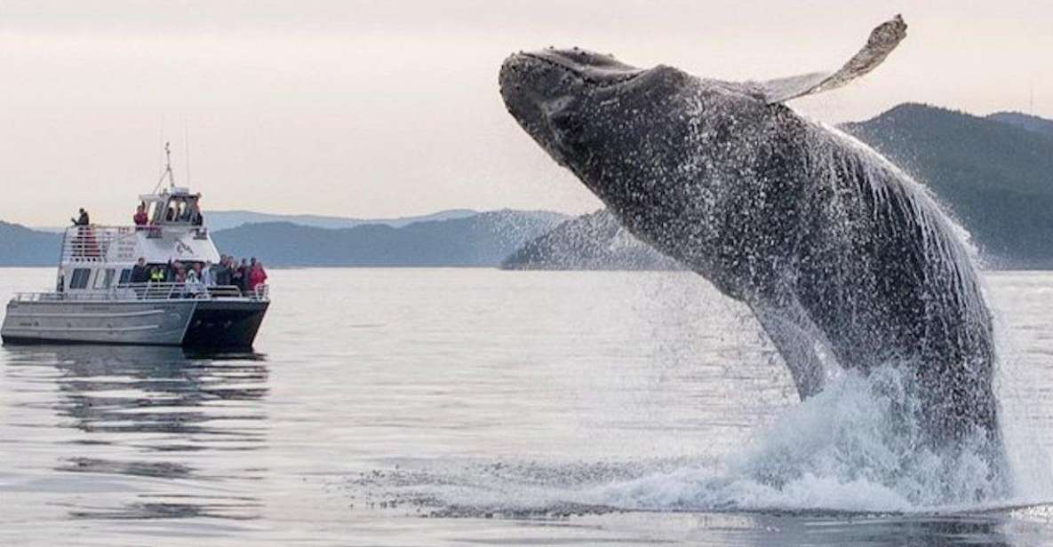 Anacortes: Whale and Orca Boat Tour Near Seattle - Overview and Highlights