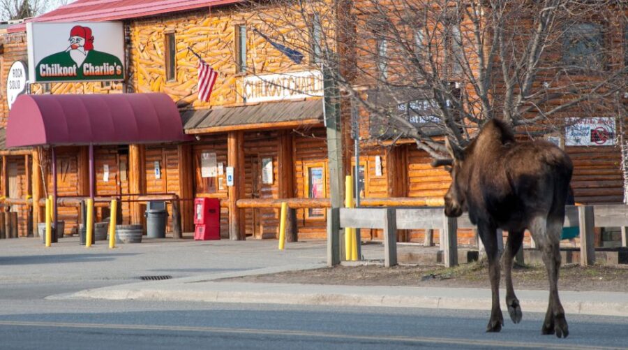 Anchorage: Spenard Area True Crime Walking Tour - Neighborhood Overview