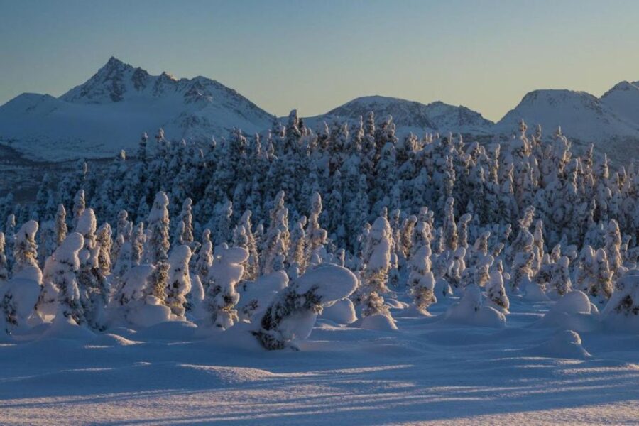 5 Best Photography Experiences In Anchorage