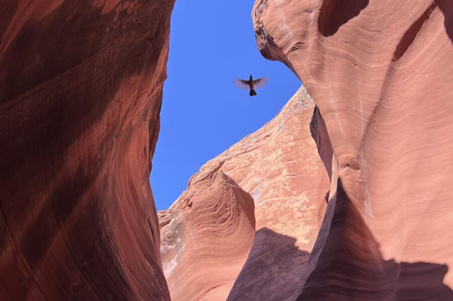 Antelope Canyon: Rattlesnake Canyon Tour - Tour Overview