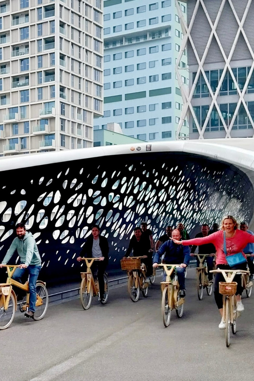 Antwerp: The Big 5 City Highlights by Wooden Bike